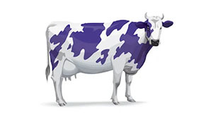 ஊதா பசு (Purple Cow)